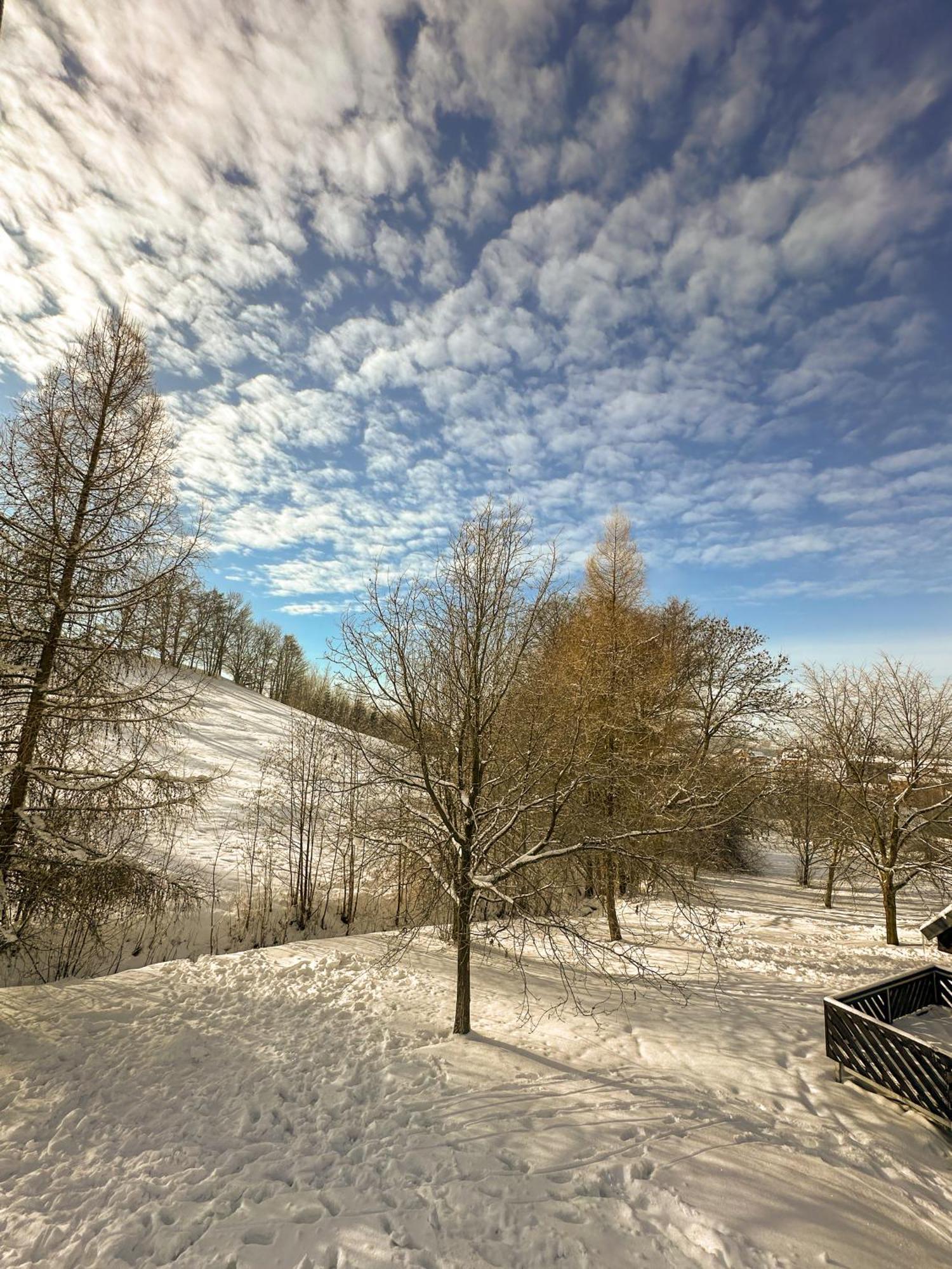 Ctyricitka Na Stastnem Kopci Villa Cerny Dul Bagian luar foto
